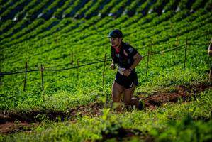 BIB: 
                            <button type="button" onclick="openModal(19160726)" class="btn btn-primary btn-sm float-right btn-popup" data-toggle="modal" data-target=".modal-high-quality">
                        <i class="fas fa-shopping-cart"></i> Add to Cart
                    </button>
                                            <button type="button" onclick="isThisMe(19160726, true)" class="btn btn-success btn-sm float-right btn-popup btn-isme hidden" data-toggle="tooltip" data-placement="bottom" title="นี่คือรูปของคุณใช่ไหม คลิกที่นี่เพื่อเอาเข้าอัลบั้ม">
                        <i class="fas fa-plus"></i> Add to album
                    </button>
                    <button type="button" onclick="isThisMe(19160726, false)" class="btn btn-warning btn-sm float-right btn-popup btn-isnotme hidden">
                        <i class="fas fa-ban"></i> Remove from album
                    </button>